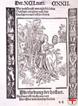 In Brants Narrenschiff dient eine Frau als Lockvogel fr den Teufel (nach 1494, DHM)