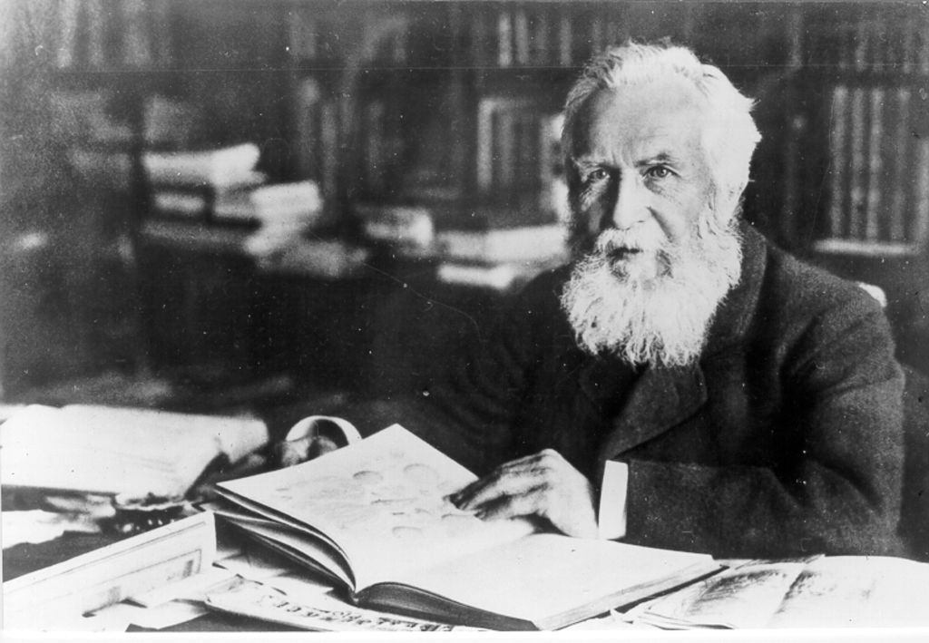 Exponat: Foto: Haeckel, Ernst, 1914