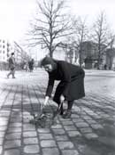 Pferdemist - guter D&uuml;nger f&uuml;r den Garten