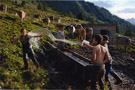 Mario Wezel, In Pausen wird so mancher Spa gemacht, aus der Serie Ein Sommer auf der Alm, 2010, Deutscher Jugendfotopreis/DHM