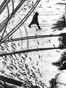 Klaus Kuhnigk, Spuren im Schnee, 1964, Deutscher Jugendfotopreis/DHM