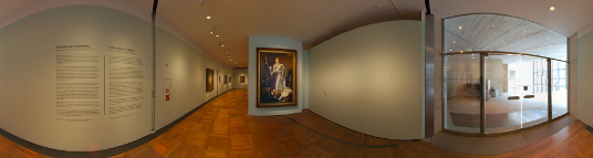 Panorama preview