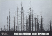 „Nach den Wäldern stirbt der Mensch“, Plakat des Bundes Naturschutz in Bayern e.V., 1970/1989, DHM, Berlin, Foto: Arne Psille. Mit Abbildungen zerstörter Landschaften und toter Wälder, die in ihrer Bildsprache an Kriegsfotos erinnerten, konnte die neue Umweltbewegung direkt an die Friedensbewegung der 1970er Jahre anschließen. 