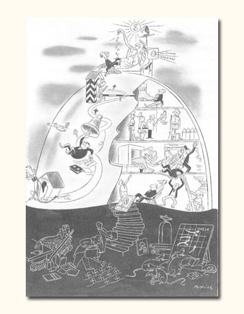Catalog No.: 41