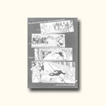 Catalog No.: 23