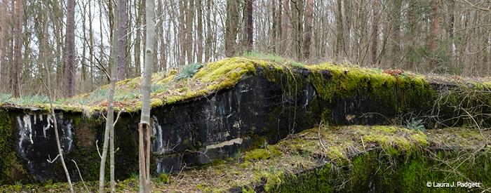 Bauliche Spuren der geplanten Reichsautobahn bei Gräfendorf zwischen Fulda und Würzburg. Die Arbeiten wurden 1939 abgebrochen. Die Künstlerin Laura J. Padgett hat im März 2024 die Überreste fotografiert. Bauliche Spuren der geplanten Reichsautobahn bei Gräfendorf zwischen Fulda und Würzburg. Die Arbeiten wurden 1939 abgebrochen. Die Künstlerin Laura J. Padgett hat im März 2024 die Überreste fotografiert.
