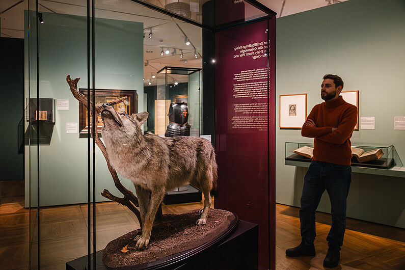 In der Ausstellung „Natur und deutsche Geschichte. Glaube – Biologie – Macht” Menschen stehen in einer Ausstellung