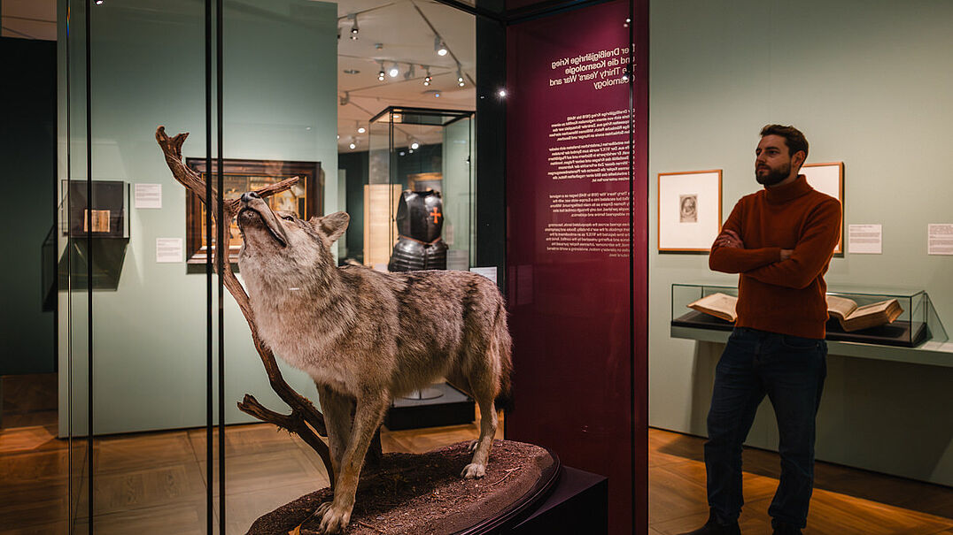 Ein Mensch steht in einer Ausstellung