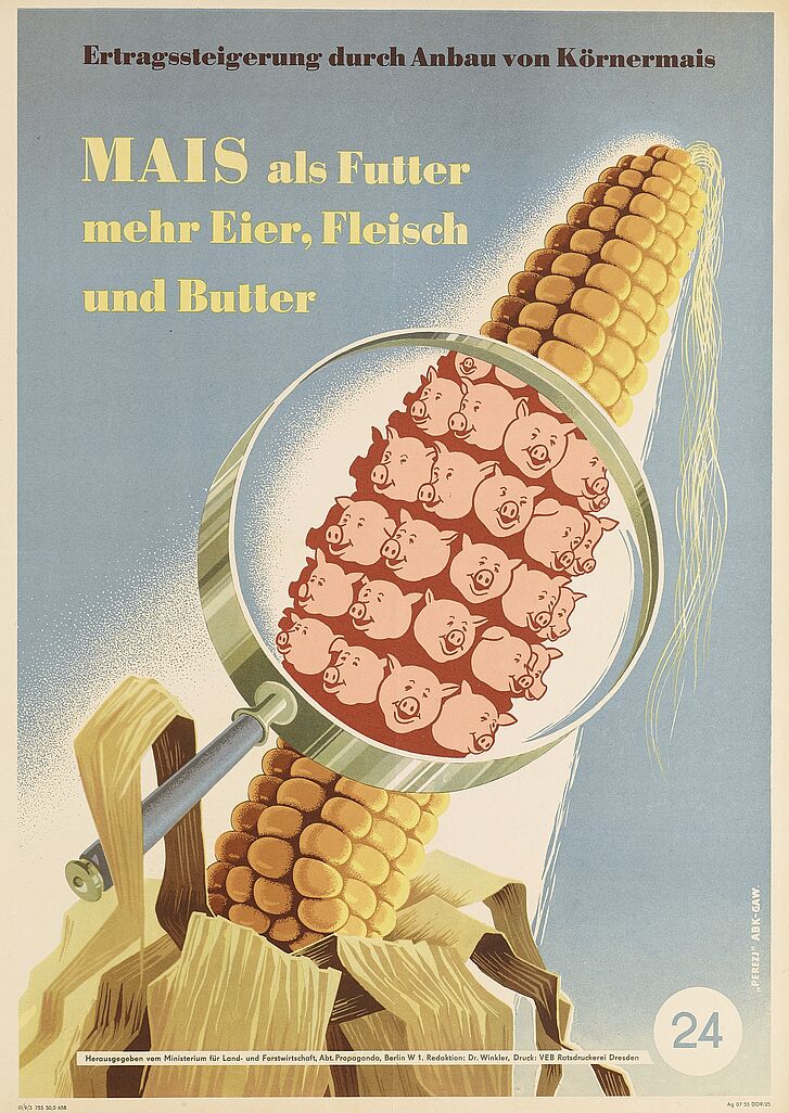 Agricultural propaganda poster “Maize as fodder / more eggs, meat and butter”, Ministry for Agriculture and Forestry, colour offset, GDR, 1955 Maize with heads of pigs