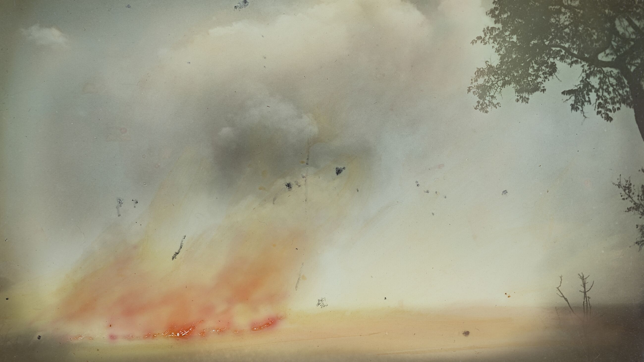 learing of land by setting grass on fire during a German research expedition to Tendaguru in German East Africa (now Tanzania), 1909–1913, Photographer: Edwin Hennig or Werner Janensch © Berlin, Museum für Naturkunde, K 002, 414. learing of land by setting grass on fire during a German research expedition to Tendaguru in German East Africa (now Tanzania), 1909–1913, Photographer: Edwin Hennig or Werner Janensch © Berlin, Museum für Naturkunde, K 002, 414.