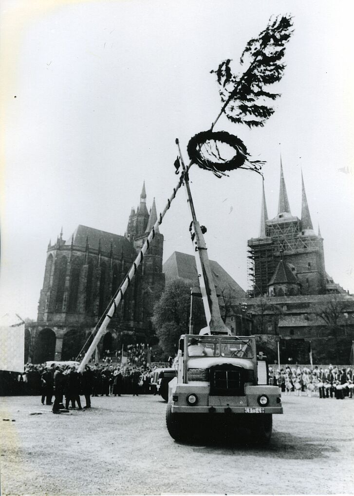 Ein Maibaum wird mit einem Krahn aufgerichtet.