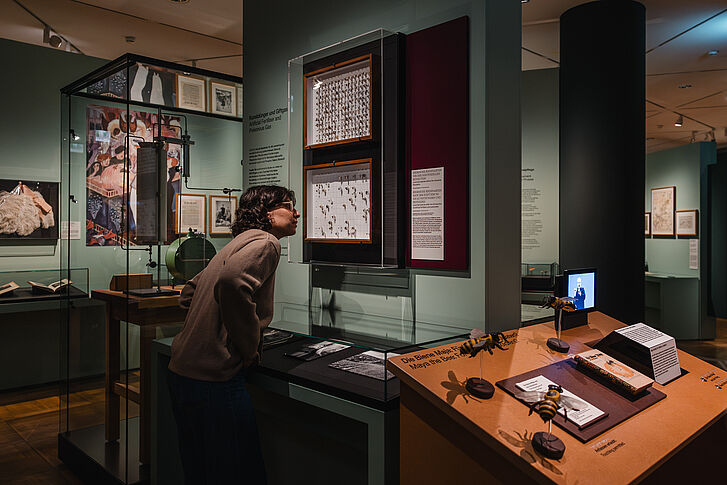 Exhibition view "Nature and German History. Faith – Biology – Power" A woman in a beige sweater observes insects.