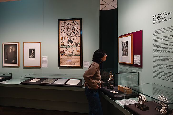 Exhibition view "Nature and German History. Faith – Biology – Power" A woman in a beige sweater looks at a work of art.