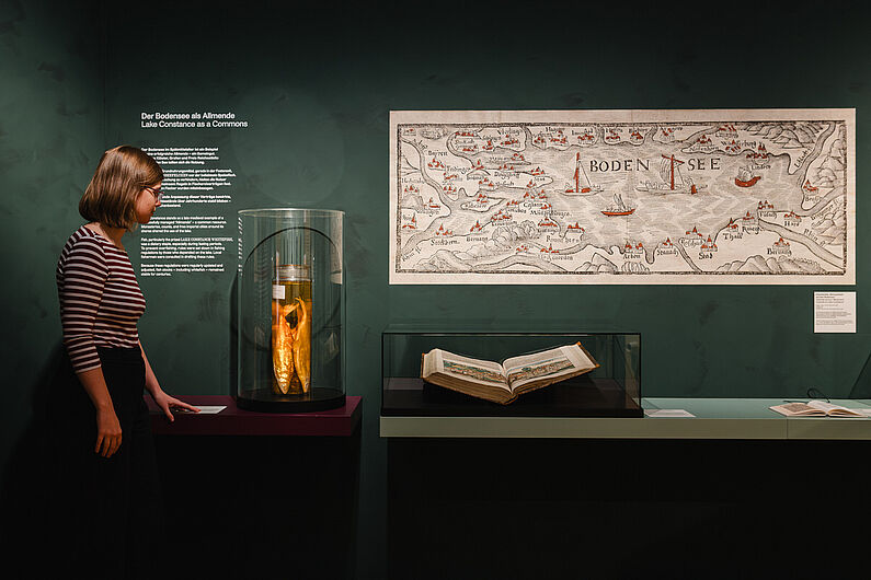 In der Ausstellung „Natur und deutsche Geschichte. Glaube – Biologie – Macht” Menschen stehen in einer Ausstellung