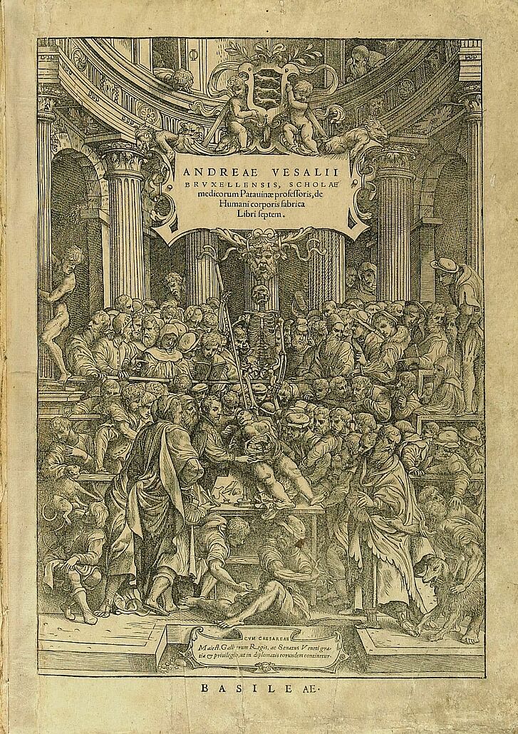 Anatomieatlas von Andreas Vesalius.