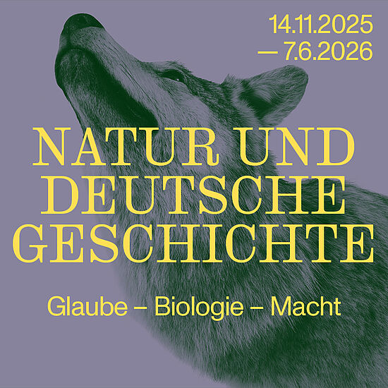 Seitliches Porträt eines Wolfes vor lilafarbenem Hintergrund, darüber gelber Text
