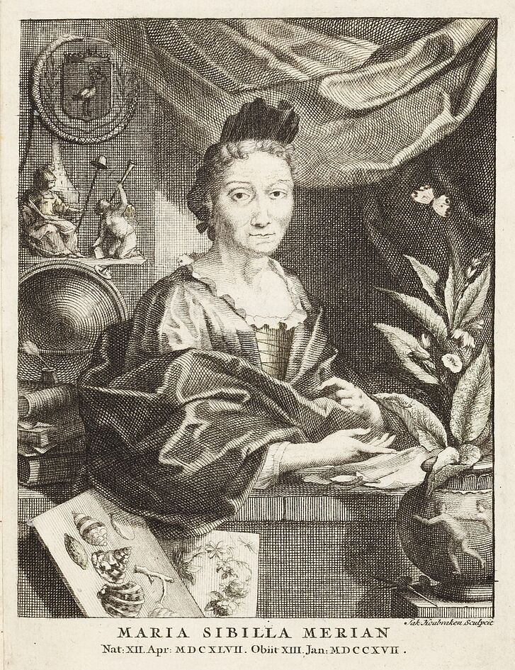 Houbraken, Jacobus (nach Georg Gsell): Bildnis Maria Sibylla Merian, um 1717, Amsterdam, um 1717/18 Porträt in Schwarz weiß