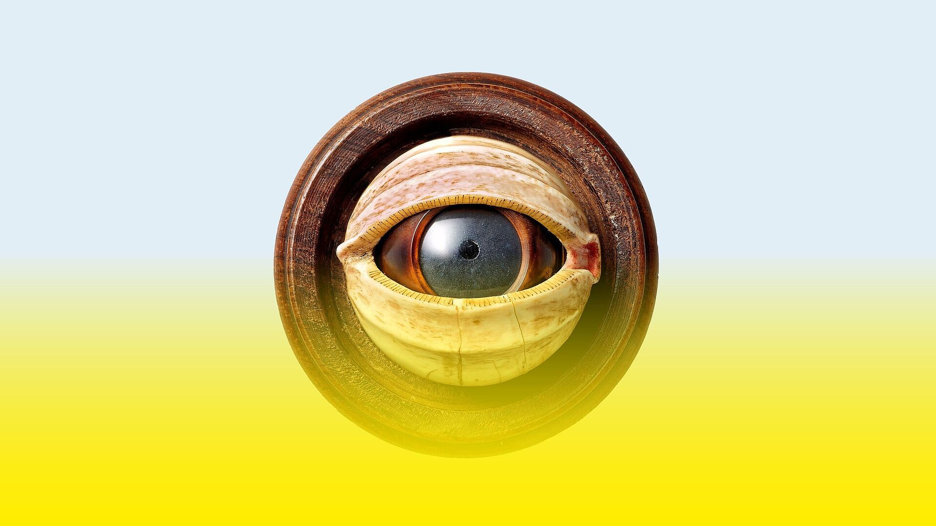 Imagegrafik für die Ausstellung „Was ist Aufklärung?” mit Auge.