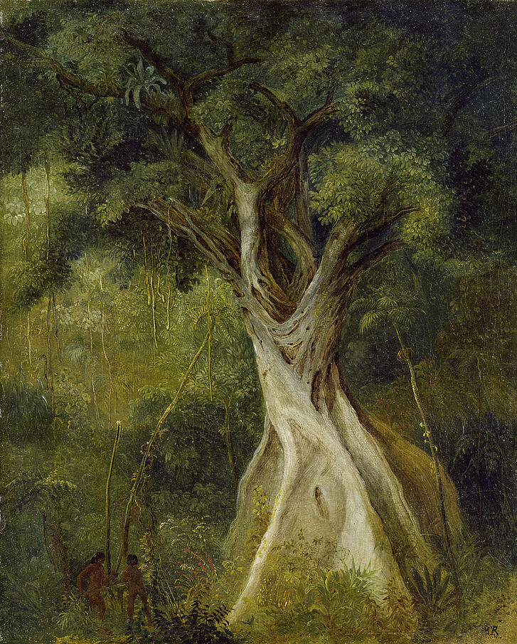 Johann Moritz Rugendas (1802–1858), Brazilian Rainforest, oil on canvas, 1830 Painting of tree