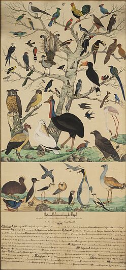 Der Jenaer Zoologe Ernst Haeckel war der wichtigste deutsche Vertreter der Evolutionstheorie. Mit 16 Jahren malte er 1850 die „Nationalversammlung der Vögel“ 
