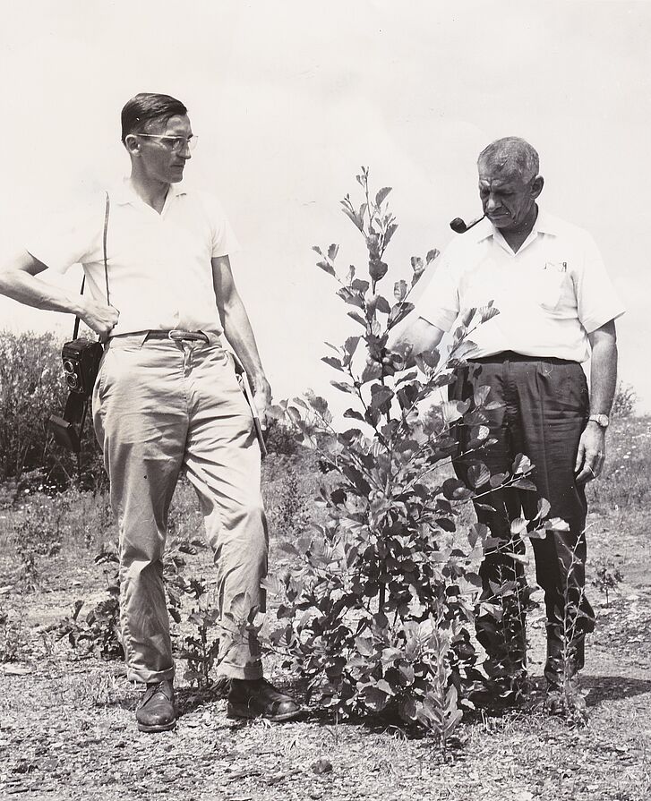 Wilhelm Knabe in Ohio, 1962 black and white photo: two men and a little tree