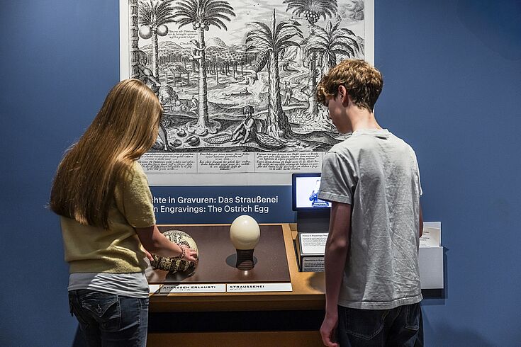 In der Ausstellung „Objekte. Geschichte. Geschichten. Blick in die Sammlung“ © Deutsches Historisches Museum, Foto: David von Becker