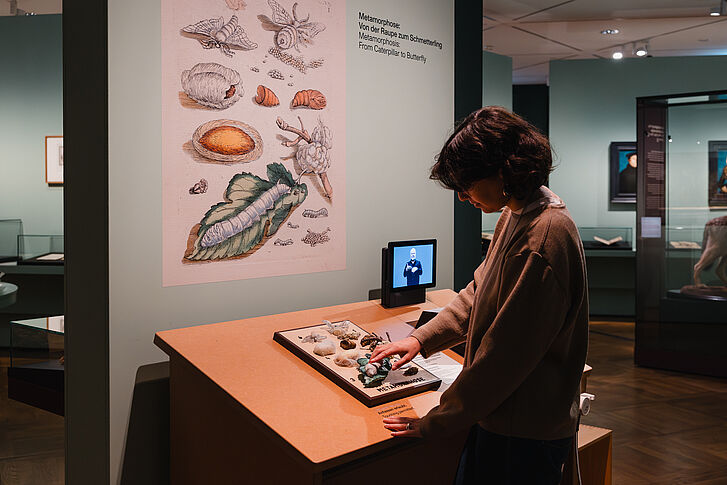 Exhibition view "Nature and German History. Faith – Biology – Power" A woman in a beige sweater feels a plastic caterpillar.