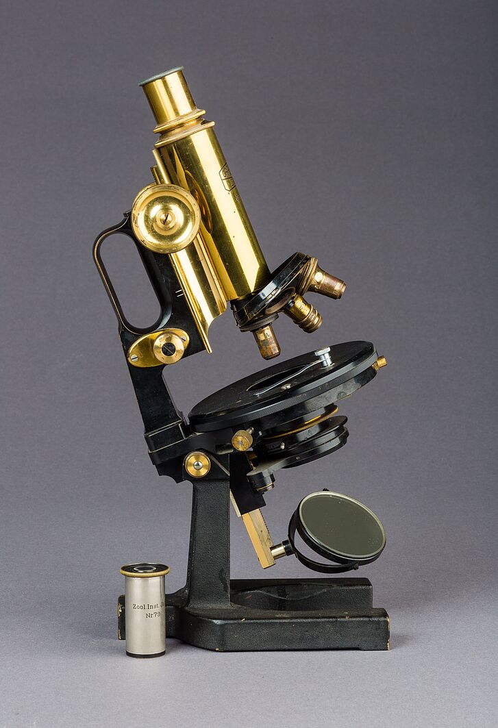 Zeiss-Mikroskop aus dem Besitz von Ernst Haeckel, Glass, Messing, 2. Hälfte 19. Jahrhundert Schwarz-goldenes Mikroskop