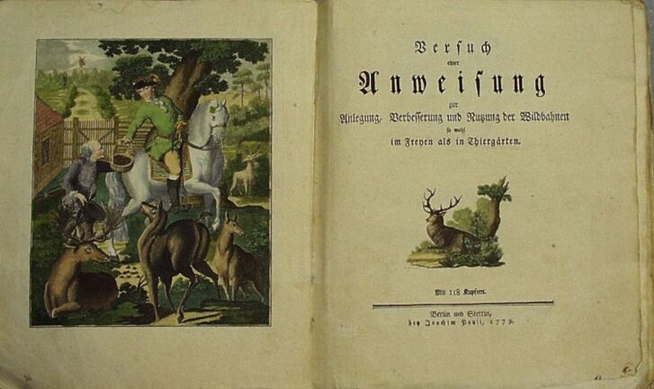 Buchdoppelseite mit Illustrationen von Hirschen und Rehen und einem Mann mit auf einem Pferd.