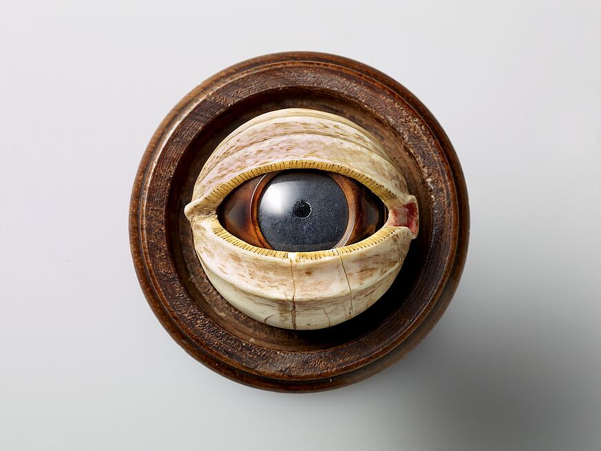 Augen-Blicke der Vernunft