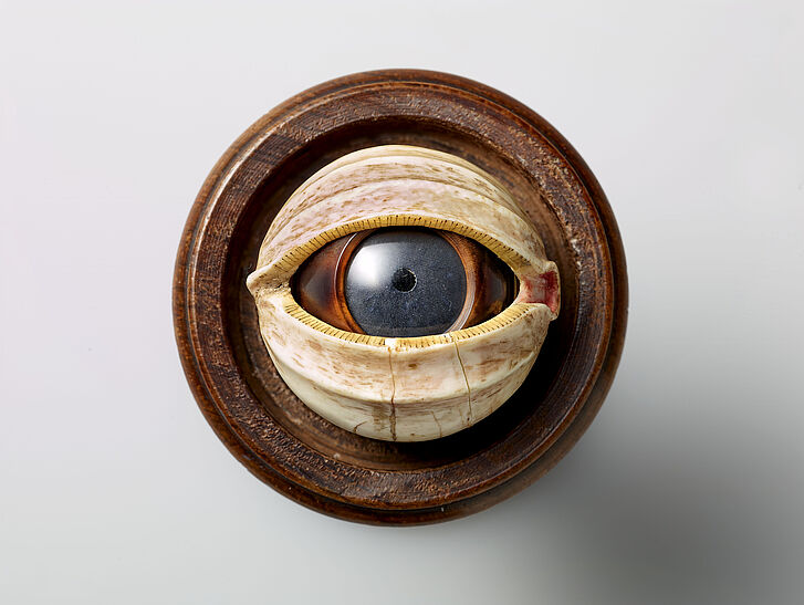 Model of a human eye in a cup, Nuremberg, ca. 1700 