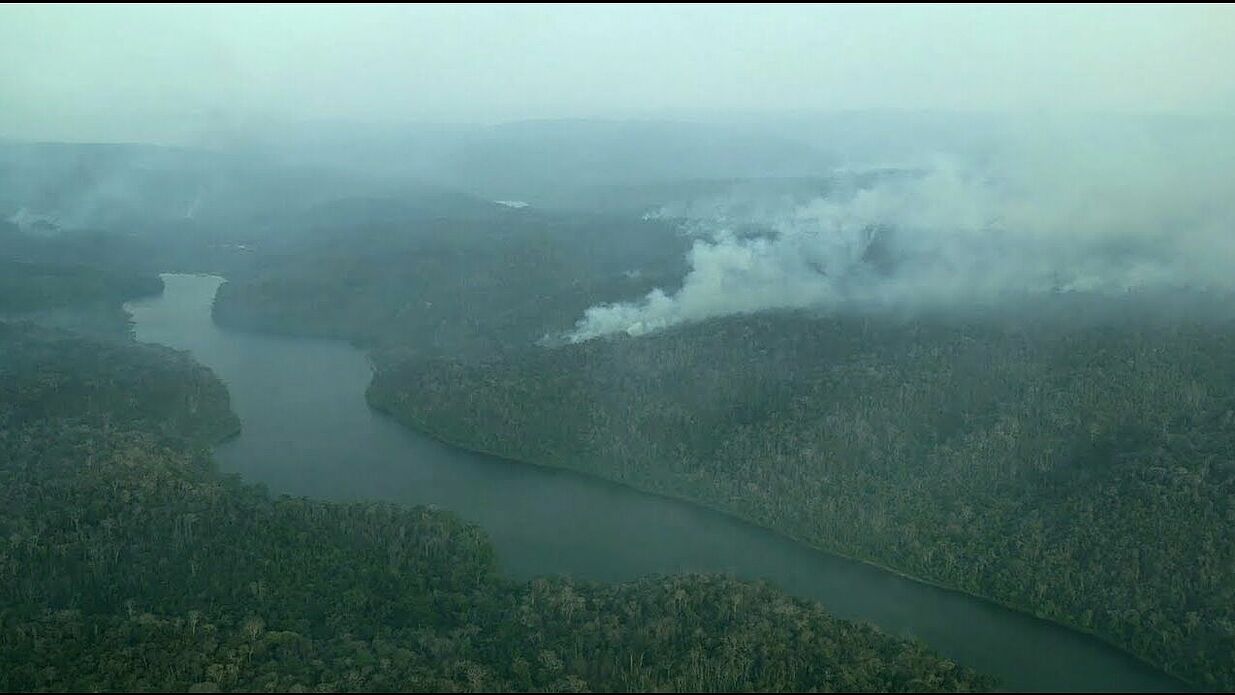 Forest Owners in Danger (BRA 2019)