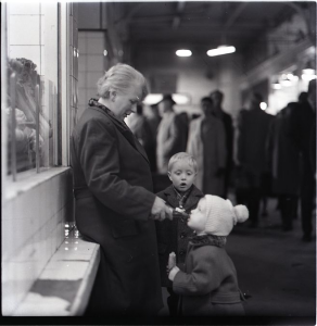 Uwe Steinberg, Markthalle Alexanderplatz, 1963 © DHM