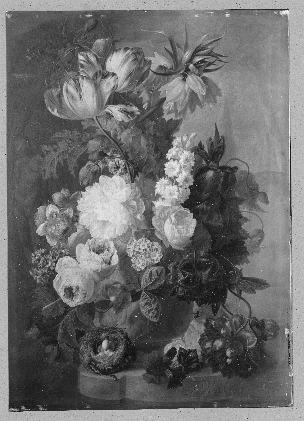 LI006455