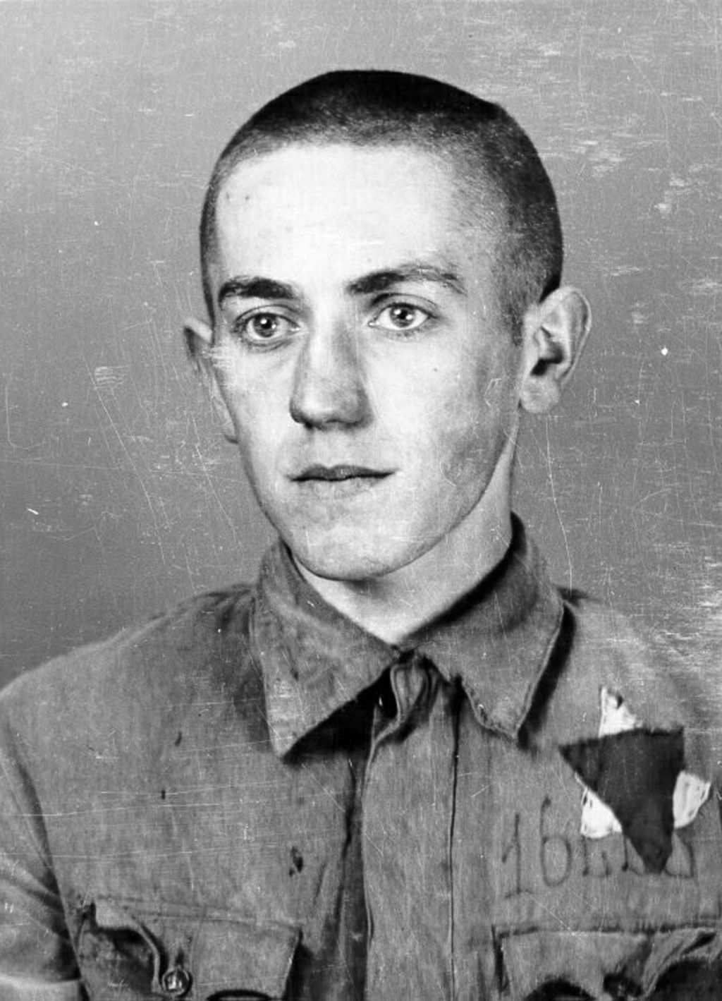 Exponat: Photo: Erfassungsphoto aus dem KZ Auschwitz, 1942