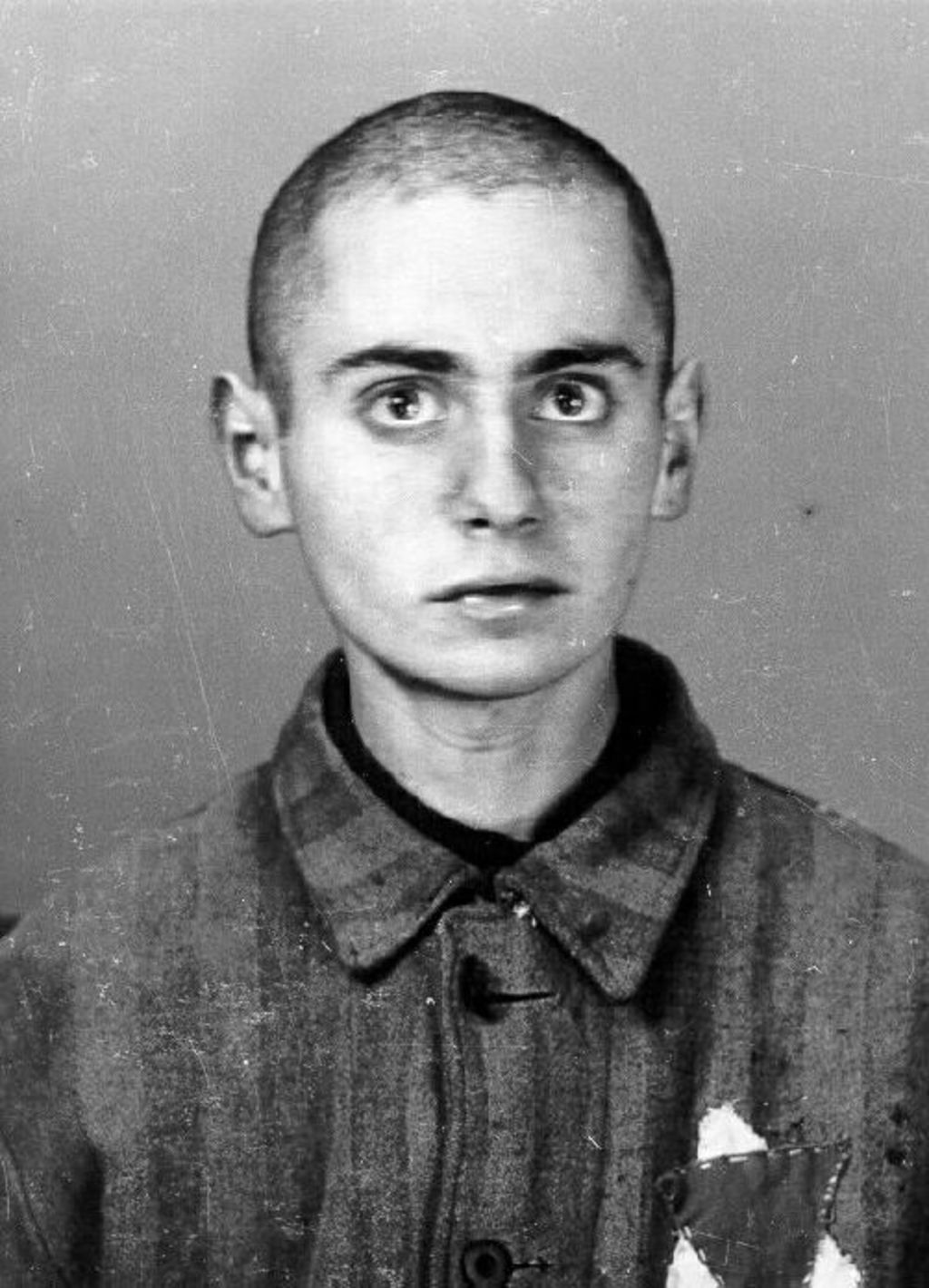 Exponat: Foto: Erfassungsphoto aus dem KZ Auschwitz, 1942