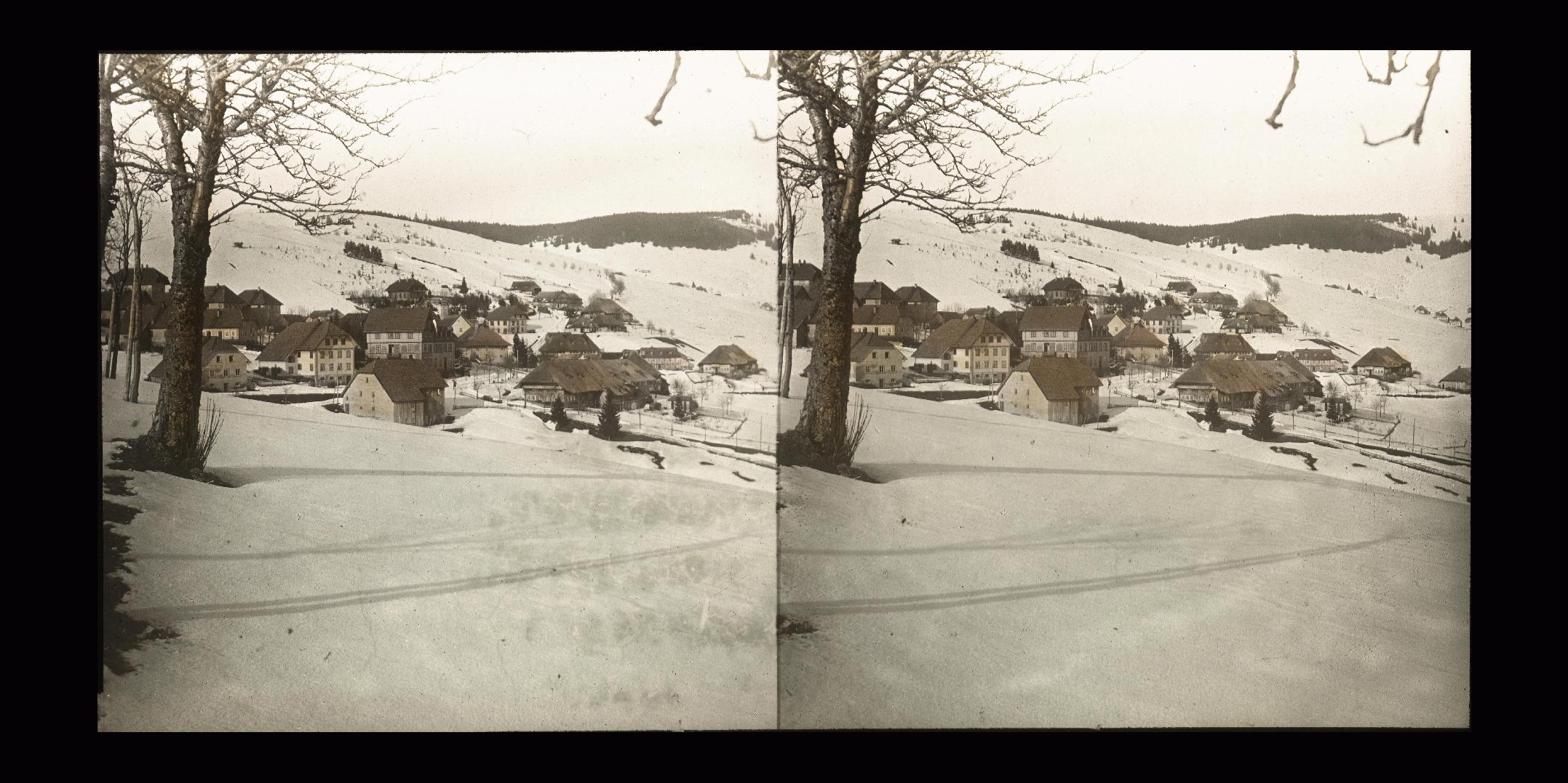 lemo-objekt-blick-auf-todtnauberg-um-1906