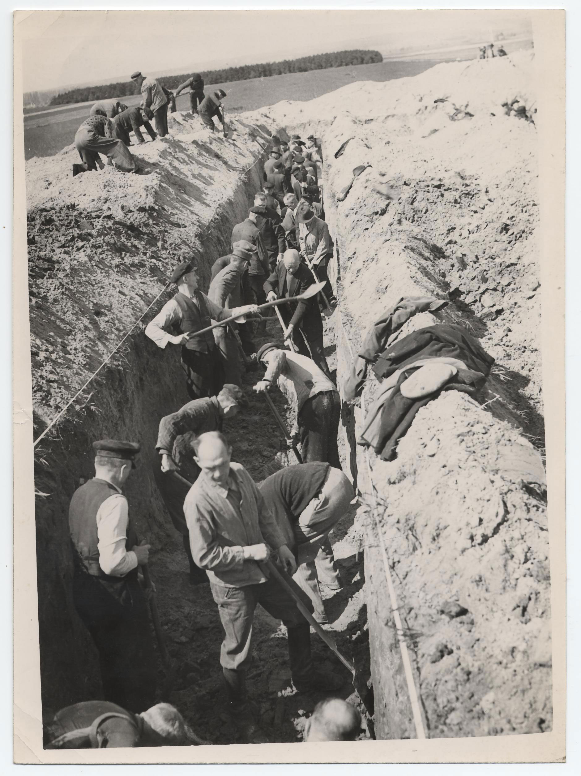 [Fotografie: Ausschachtung der Gräber für die Toten aus der Isenschnibber Feldscheune bei Gardelegen, 1945]