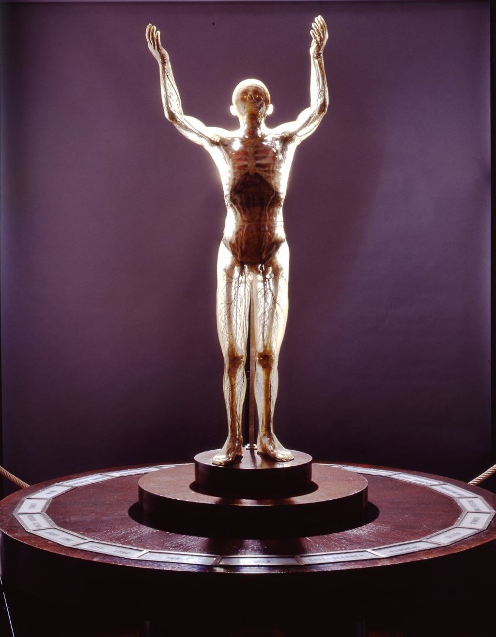 Gläserner Mann, 1935