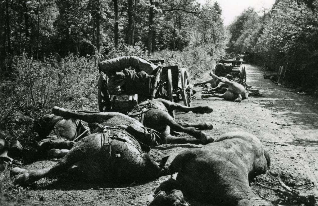 Foto: Pferdeleichen und zerstörte Kutschen auf einem Waldweg, 1940