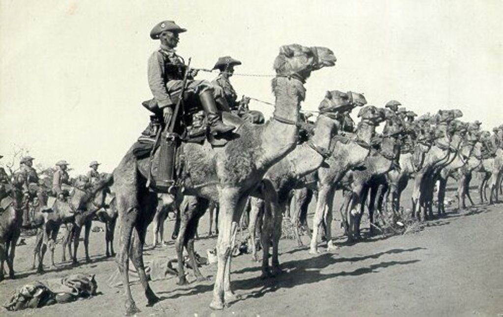 [Exponat: Postkarte: Kamelreiter der "Schutztruppe" in Südwestafrika, vor 1916]