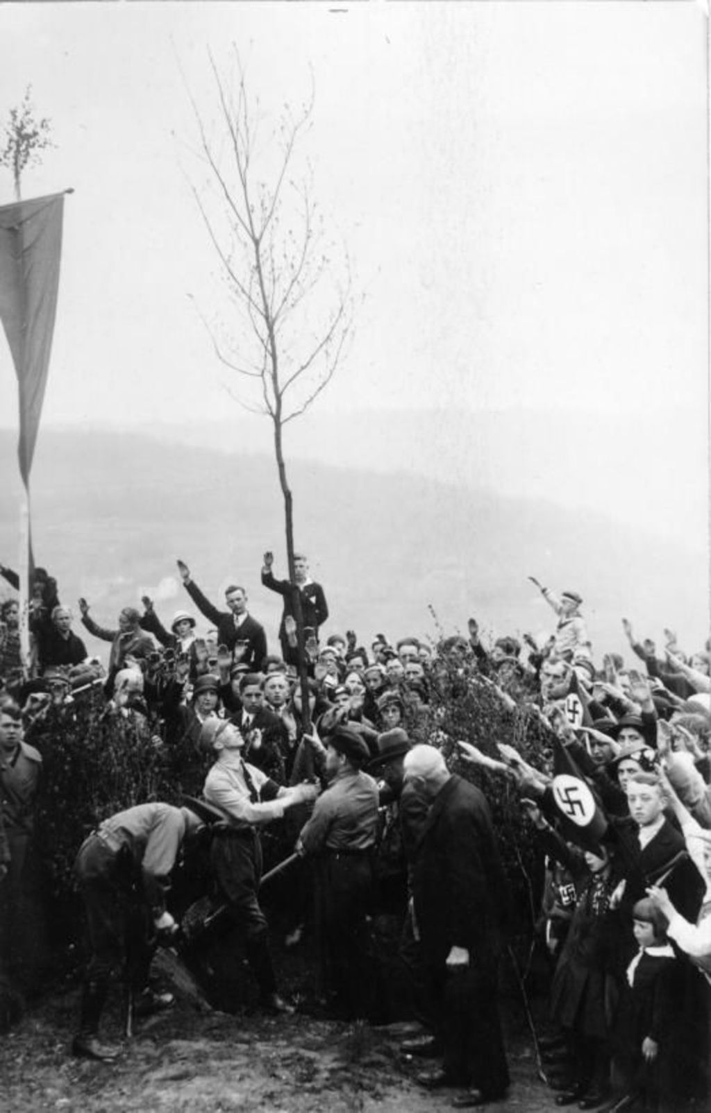 Exponat: Foto: Pflanzung einer "Hitler-Eiche", 1933