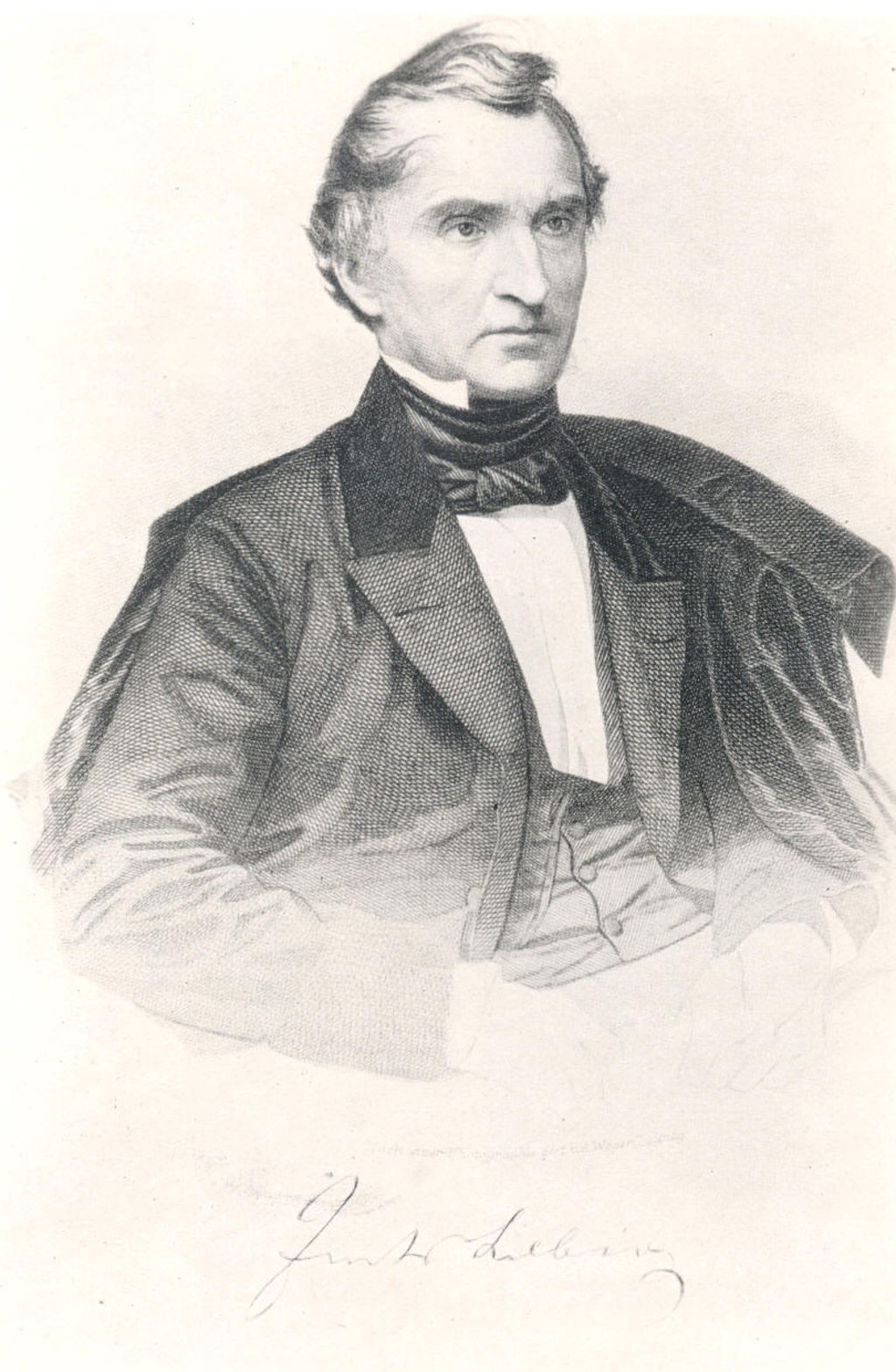 Grafik: Justus von Liebig, vor 1873