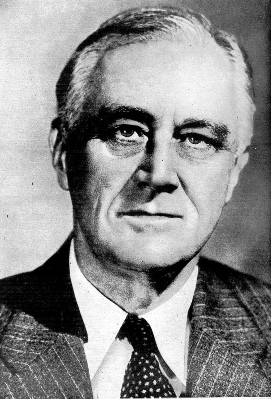 The Roosevelt Effect Legacy Remembered - vrogue.co