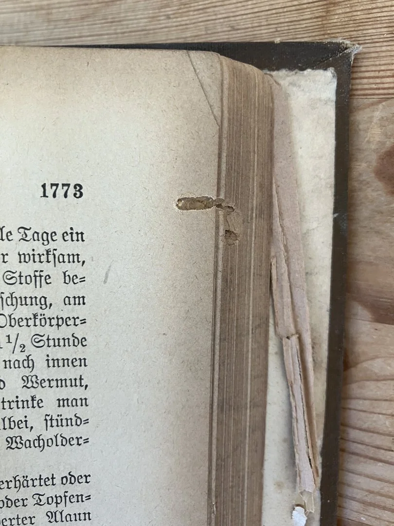 Book with bite marks