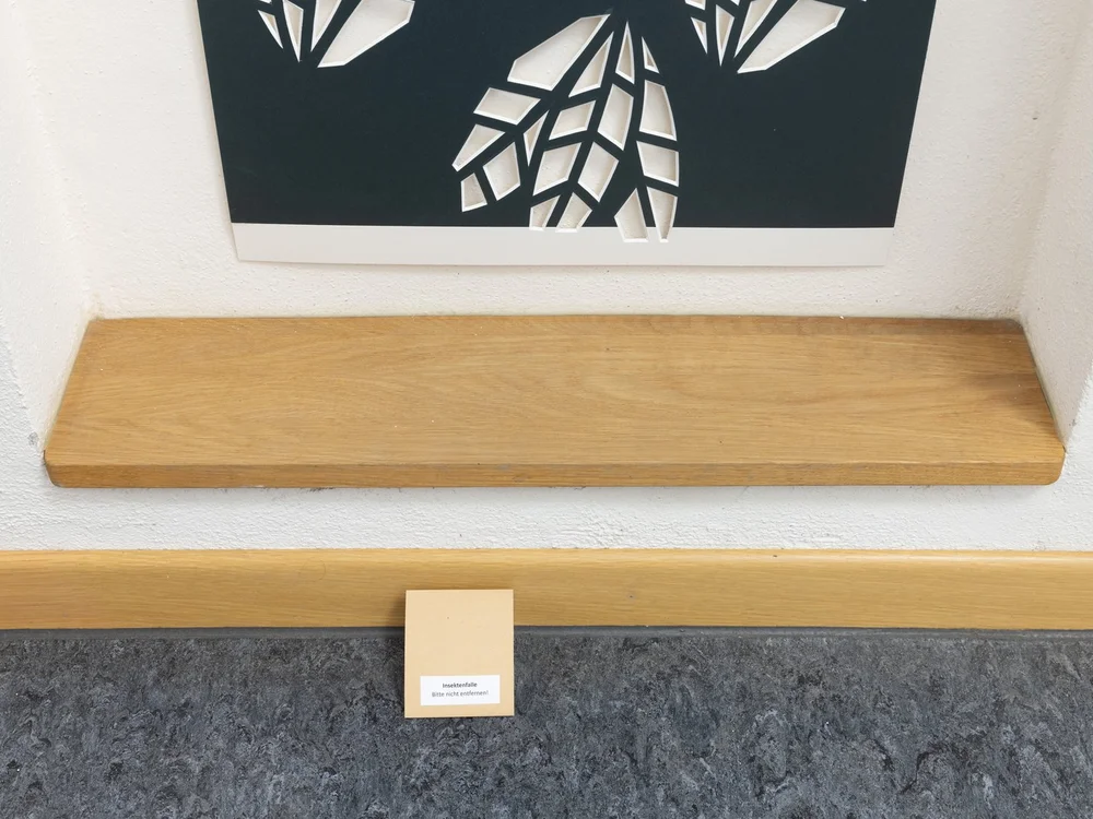 Use of an insect trap as part of “Integrated Pest Management”