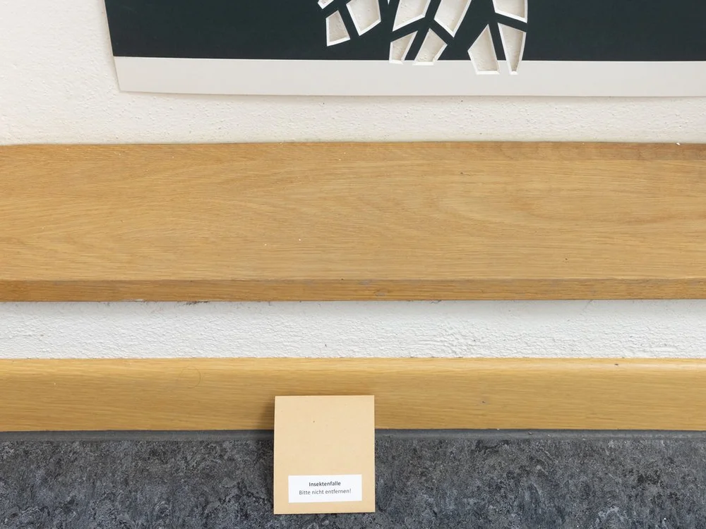 Einsatz einer Insektenfalle im Rahmen des „Integrated Pest Management“
