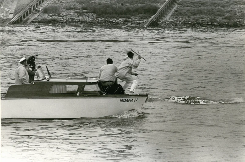 [Translate to English:] Ein kleines Motorboot mit dem Namen „Moana IV“ fährt auf dem Rhein. Drei Männer befinden sich an Bord; einer von ihnen steht am Bug mit einer Harpune, während im Wasser direkt daneben ein Beluga zu sehen ist. 