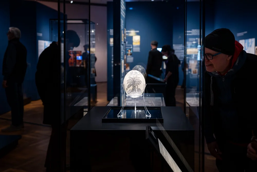 Ansicht der Ausstellung „Objekte. Geschichte. Geschichten. Blick in die Sammlung“ mit Fokus auf ein Objekt in der Mitte des Bildes: Ein graviertes Straußenei. Die Vitrine ist atmosphärisch ausgeleuchtet, der Raum um die Vitrine herum dunkel.
