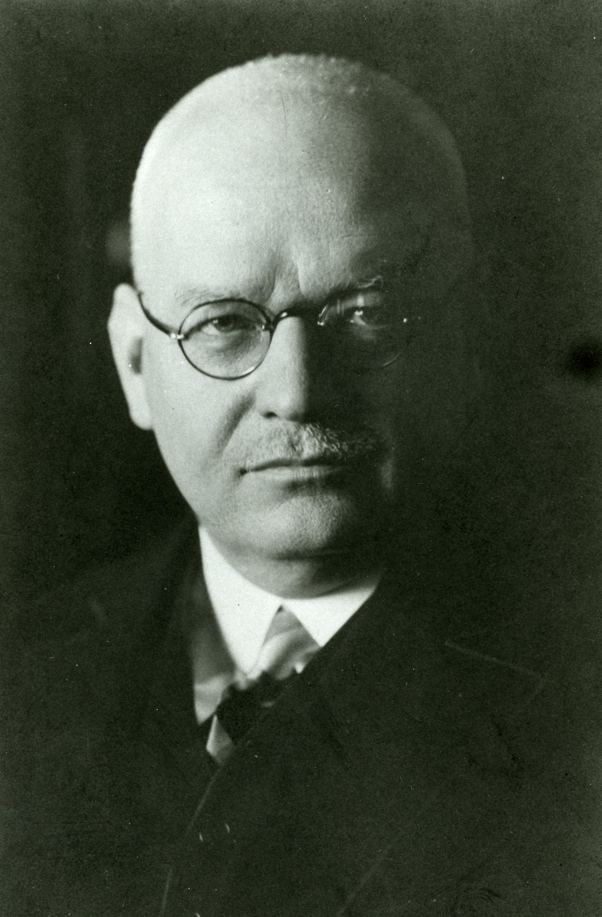 Hans Luther, um 1895